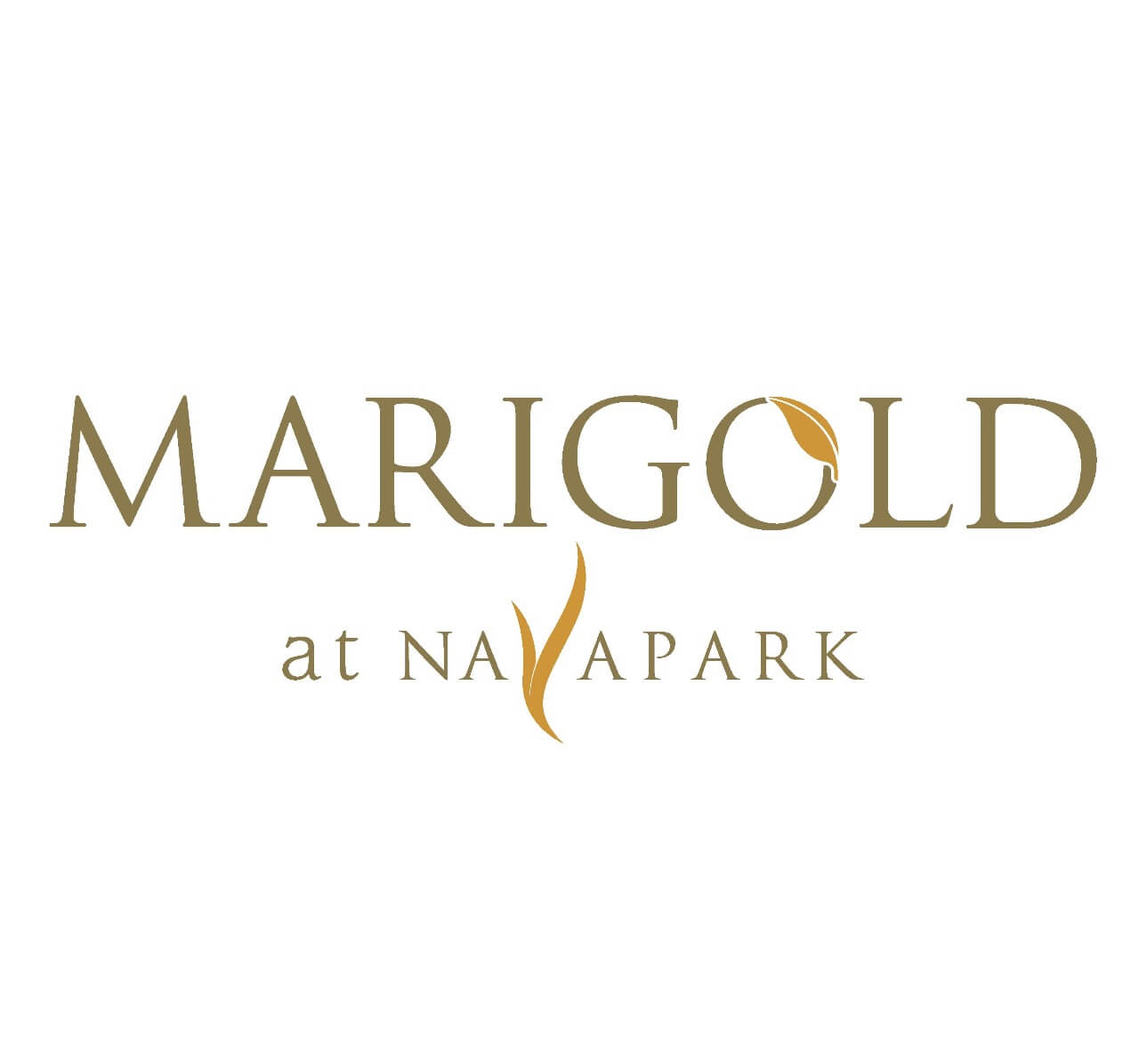 Marigold